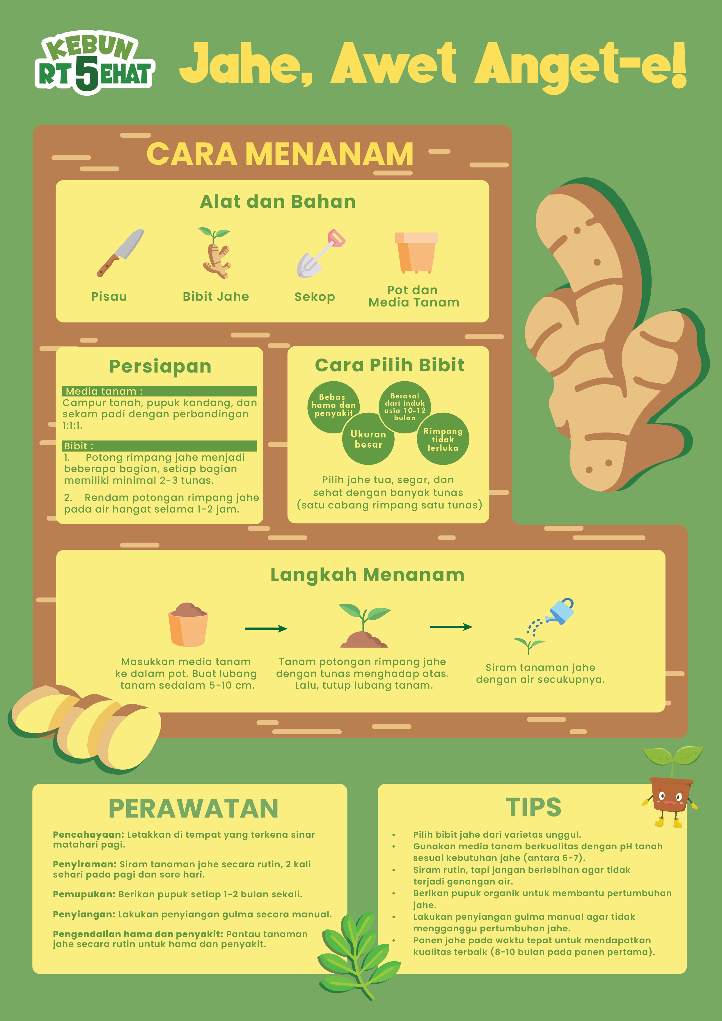 infografis merawat Jahe